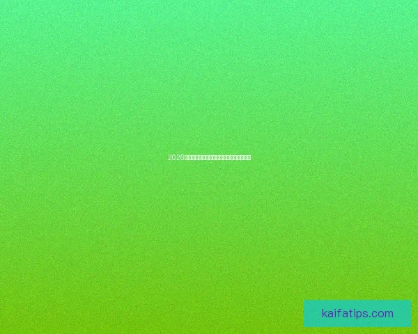 2026年世界杯各大球队完整名单解析与前景展望